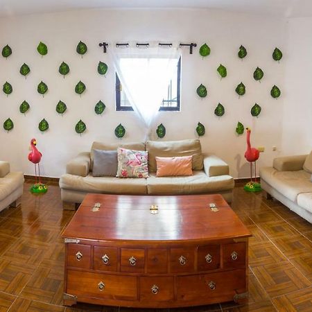 Casa Flamingo Apartment วัลลาโดลิด ภายนอก รูปภาพ