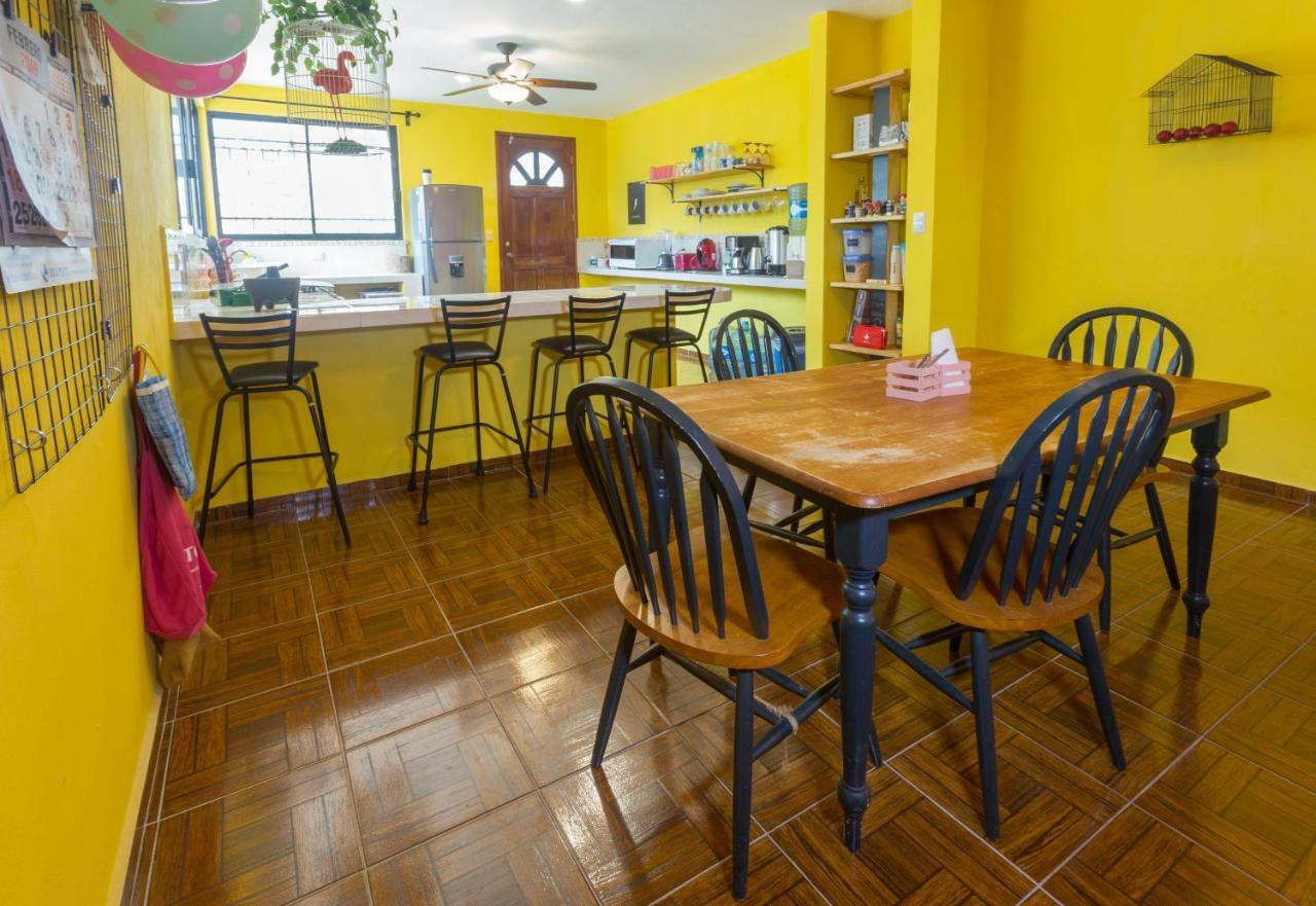 Casa Flamingo Apartment วัลลาโดลิด ภายนอก รูปภาพ